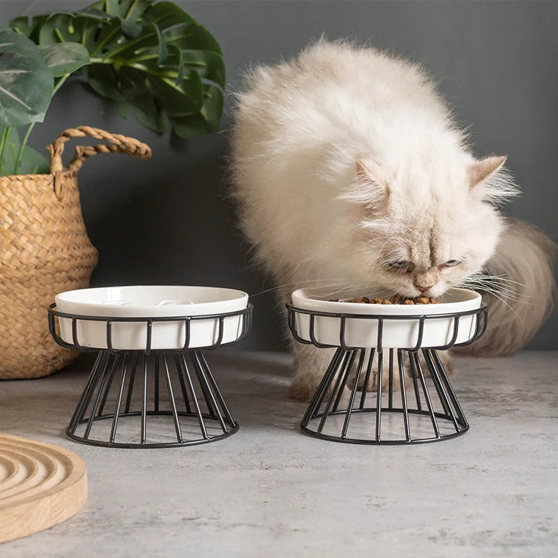 Elevated Ceramic Slow Feeder Bowl with Iron Stand – Anti-Choking Maze Design for Dogs & Cats